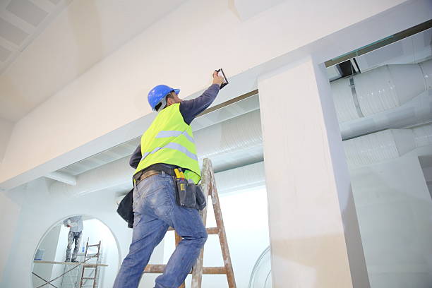 Trusted Patton Village, TX Mold Removal Experts