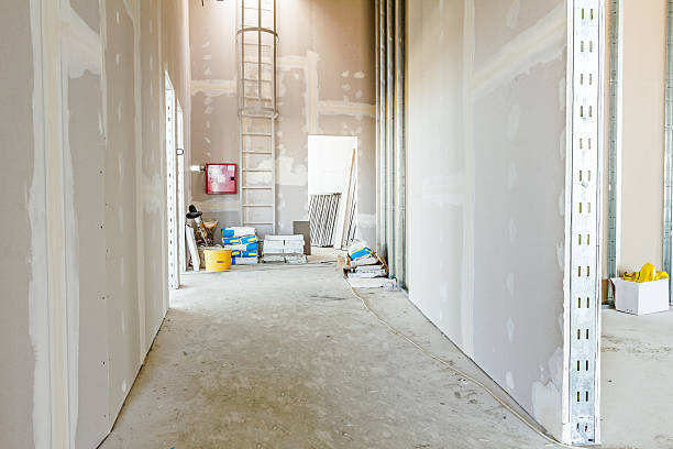 Best Air Quality Testing for Mold Spores  in Patton Village, TX